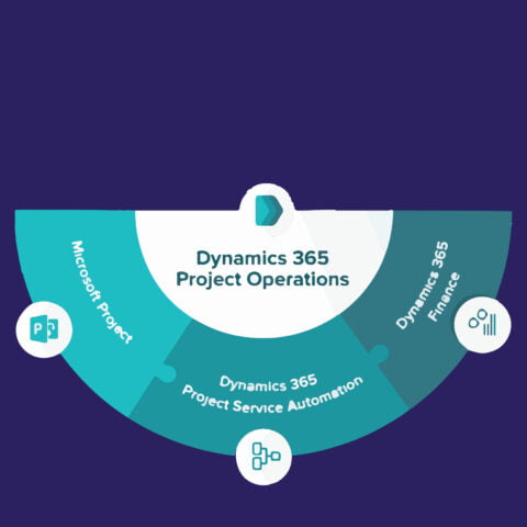 Microsoft Dynamics 365 Project Operations Partner, D365 PO Solution